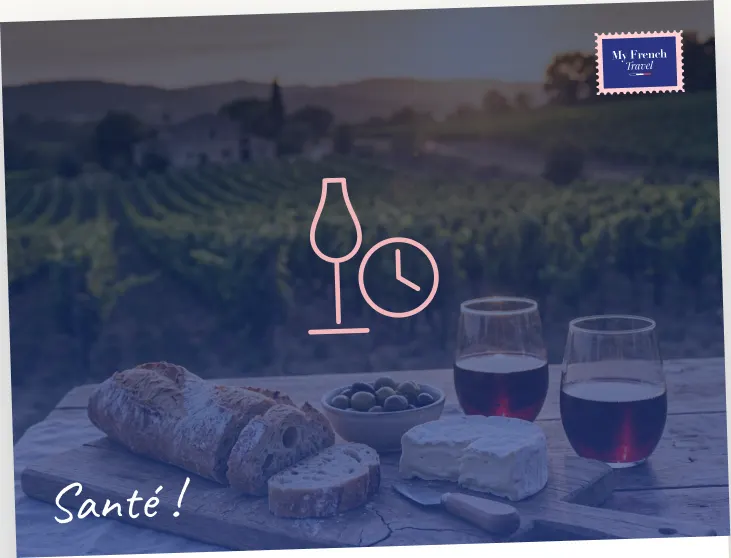 Bread, cheese and red wine in front of a vineyard — Santé !